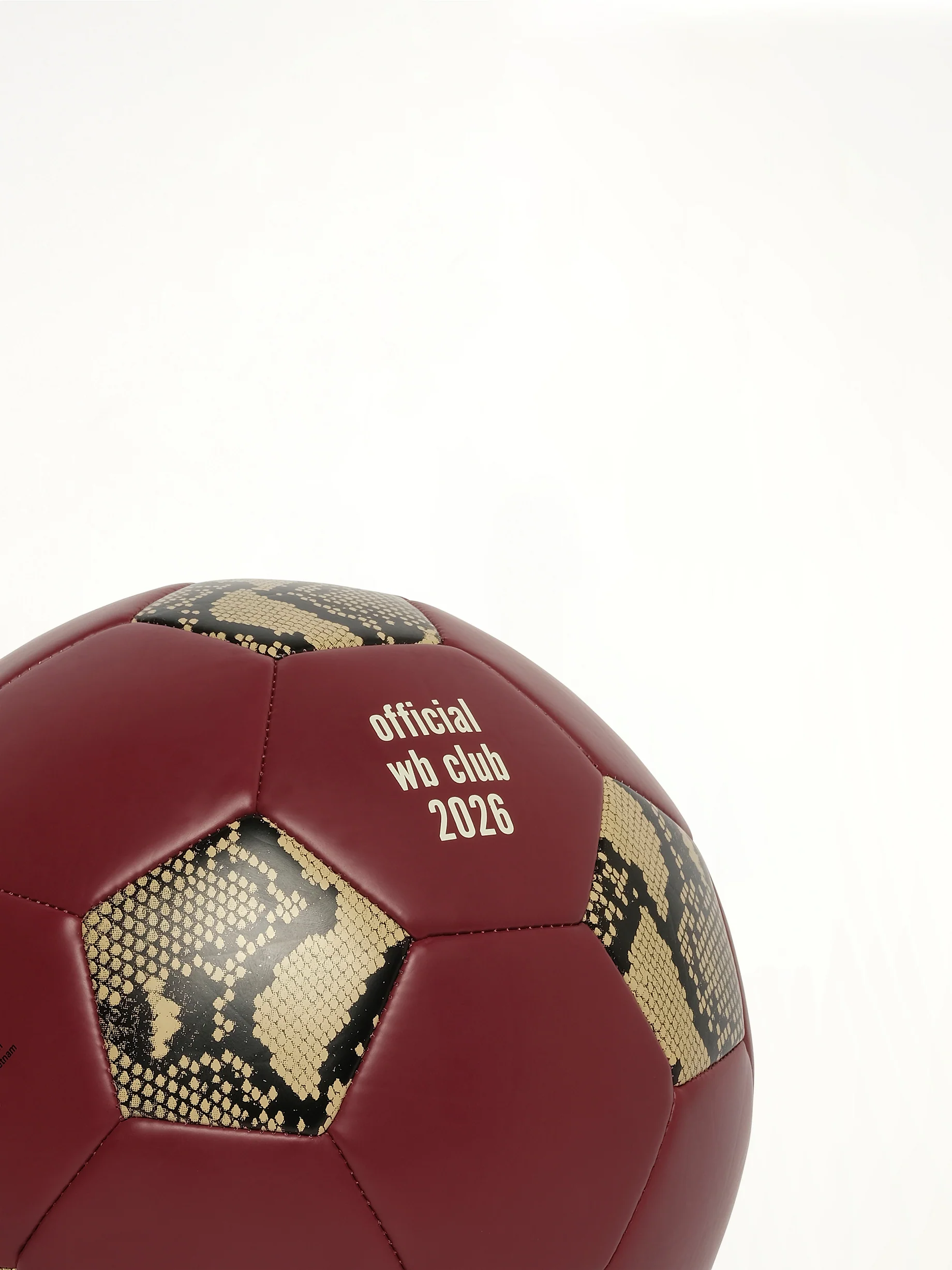 Adidas x Wales Bonner Football Ball in Cream White/Burgundy - Image 7