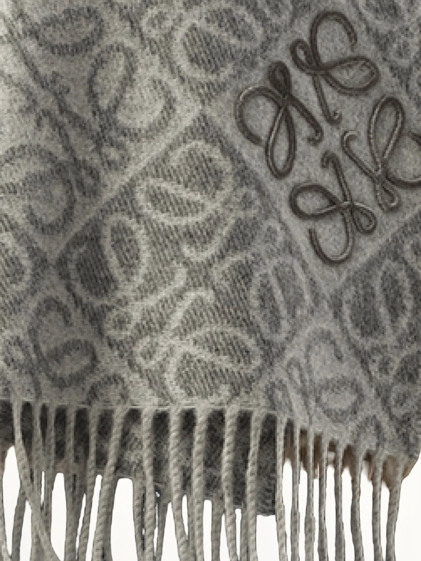 Anagram Wool Cashmere Scarf in Grey - Image 5