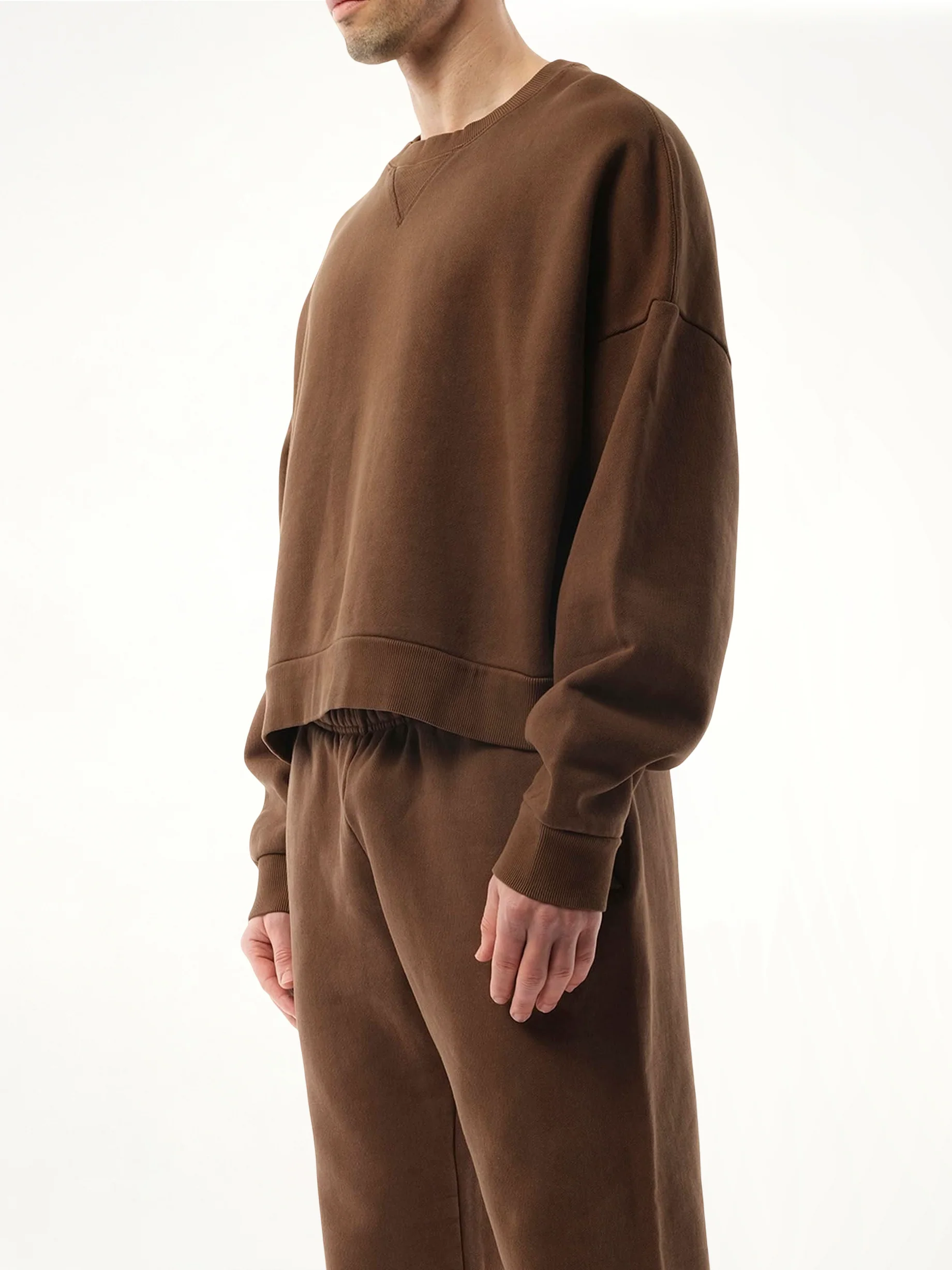 Box Sweatshirt in Brunette - Image 5