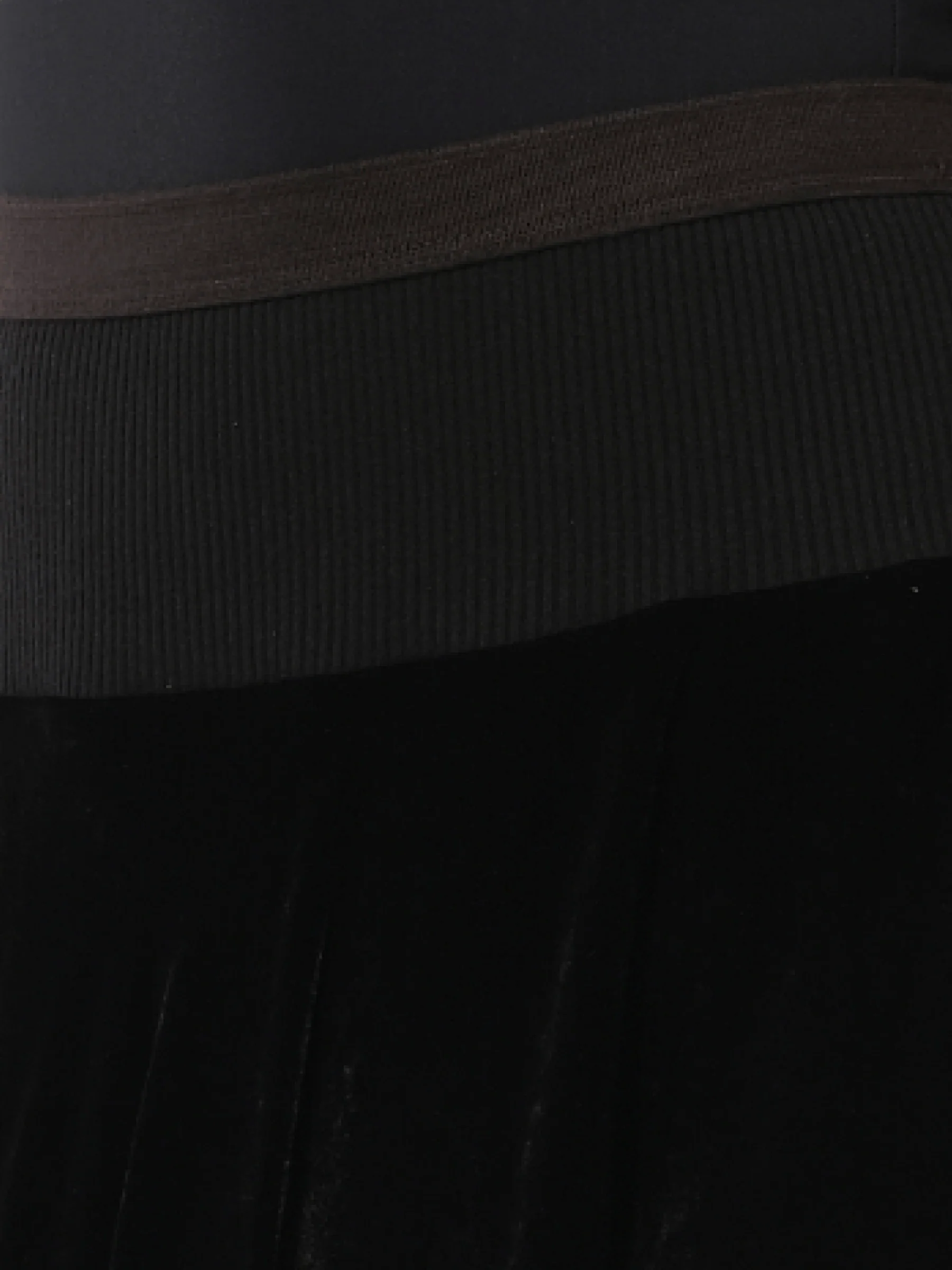 Bud Boner Shorts in Black - Image 3