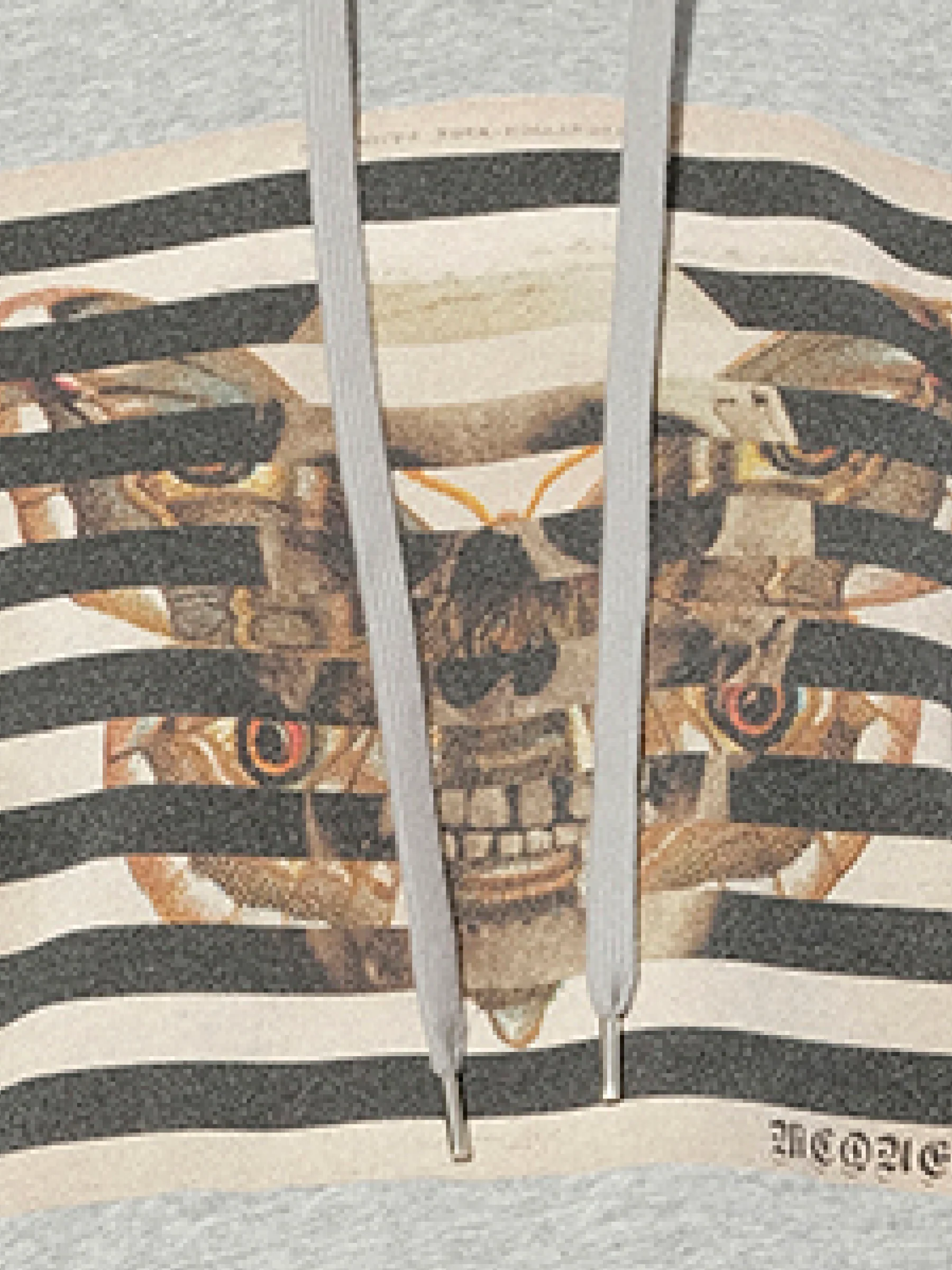 Butterfly Skull Sweatshirt in Grey - Image 2