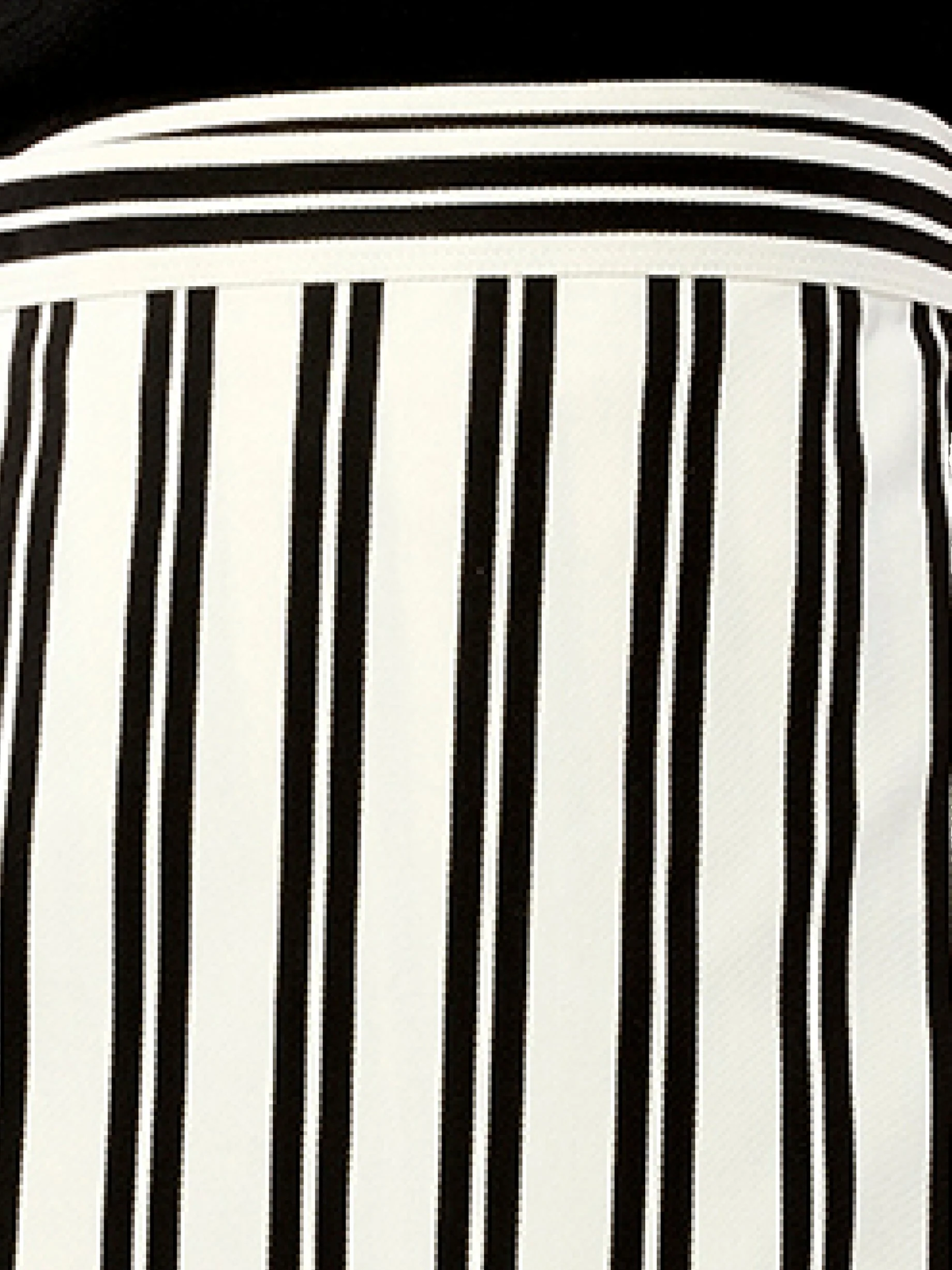 Chilie Skirt in Black/White - Image 2