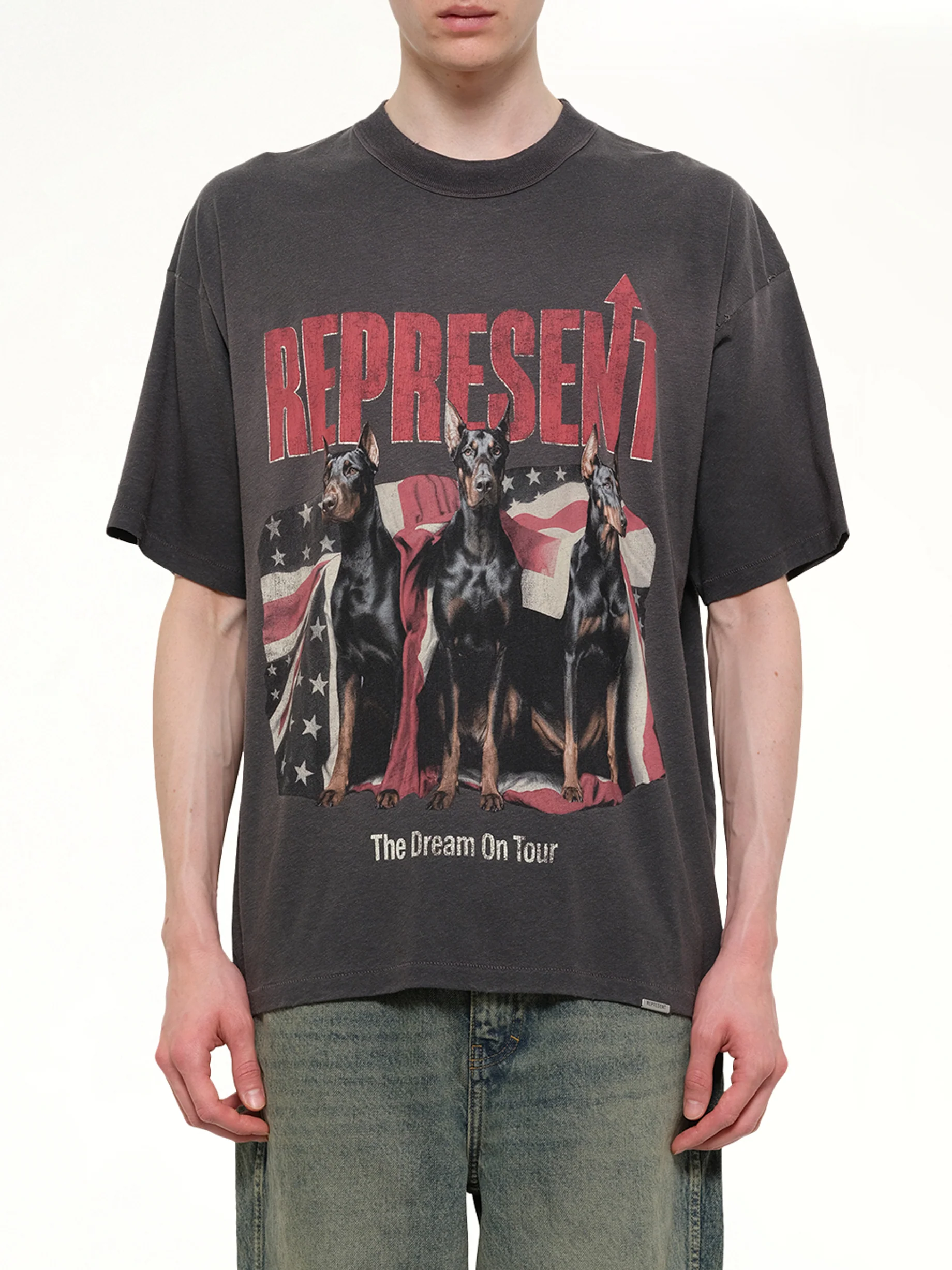 Dream On Tour T-Shirt in Sun Fade Grey