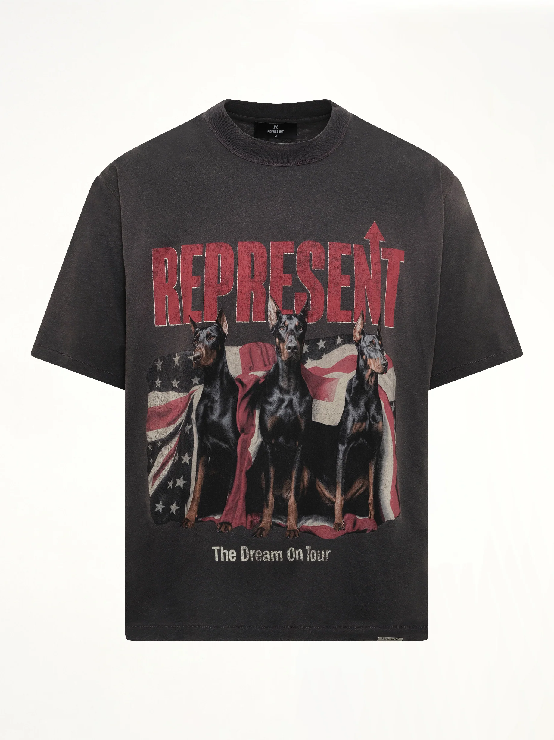Dream On Tour T-Shirt in Sun Fade Grey - Image 2