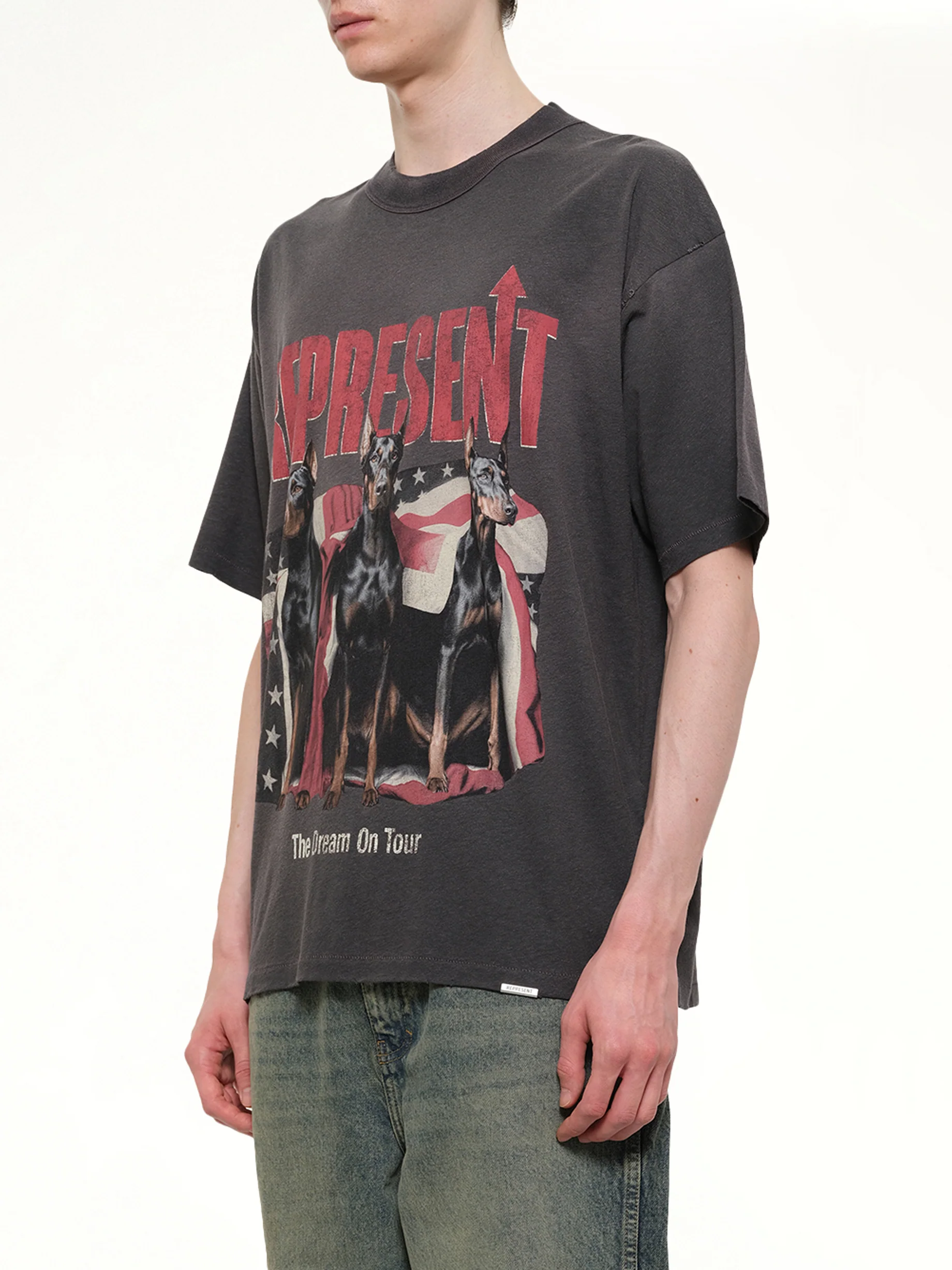 Dream On Tour T-Shirt in Sun Fade Grey - Image 3