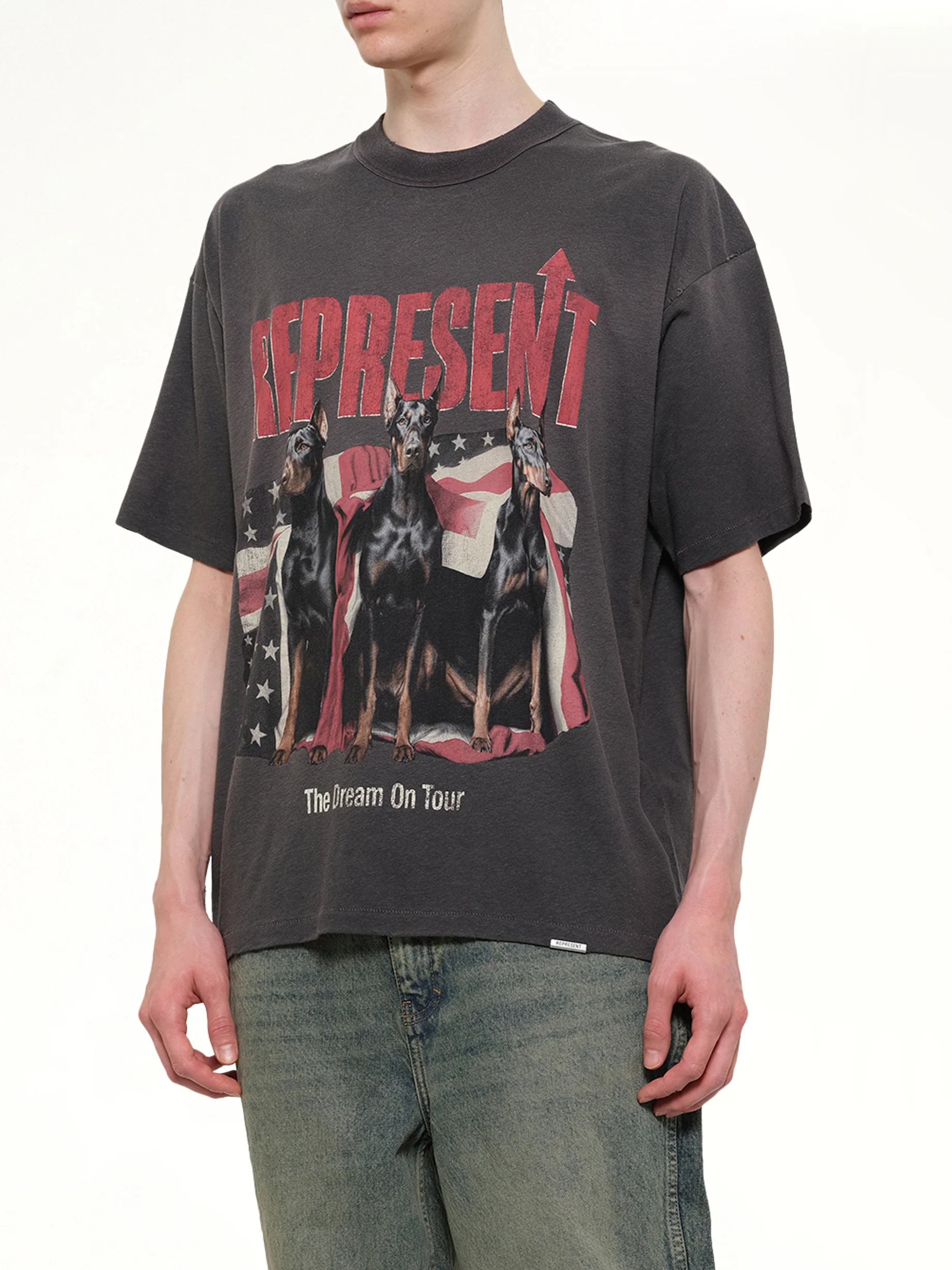 Dream On Tour T-Shirt in Sun Fade Grey - Image 6