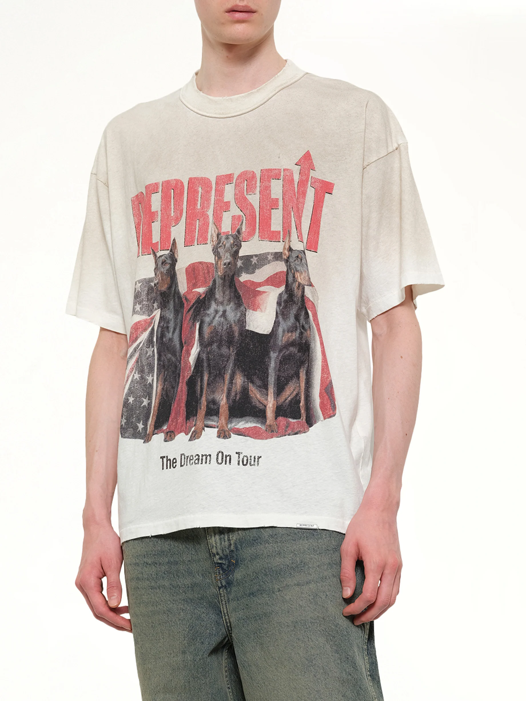 Dream On Tour T-Shirt in Washed Ecru - Image 6