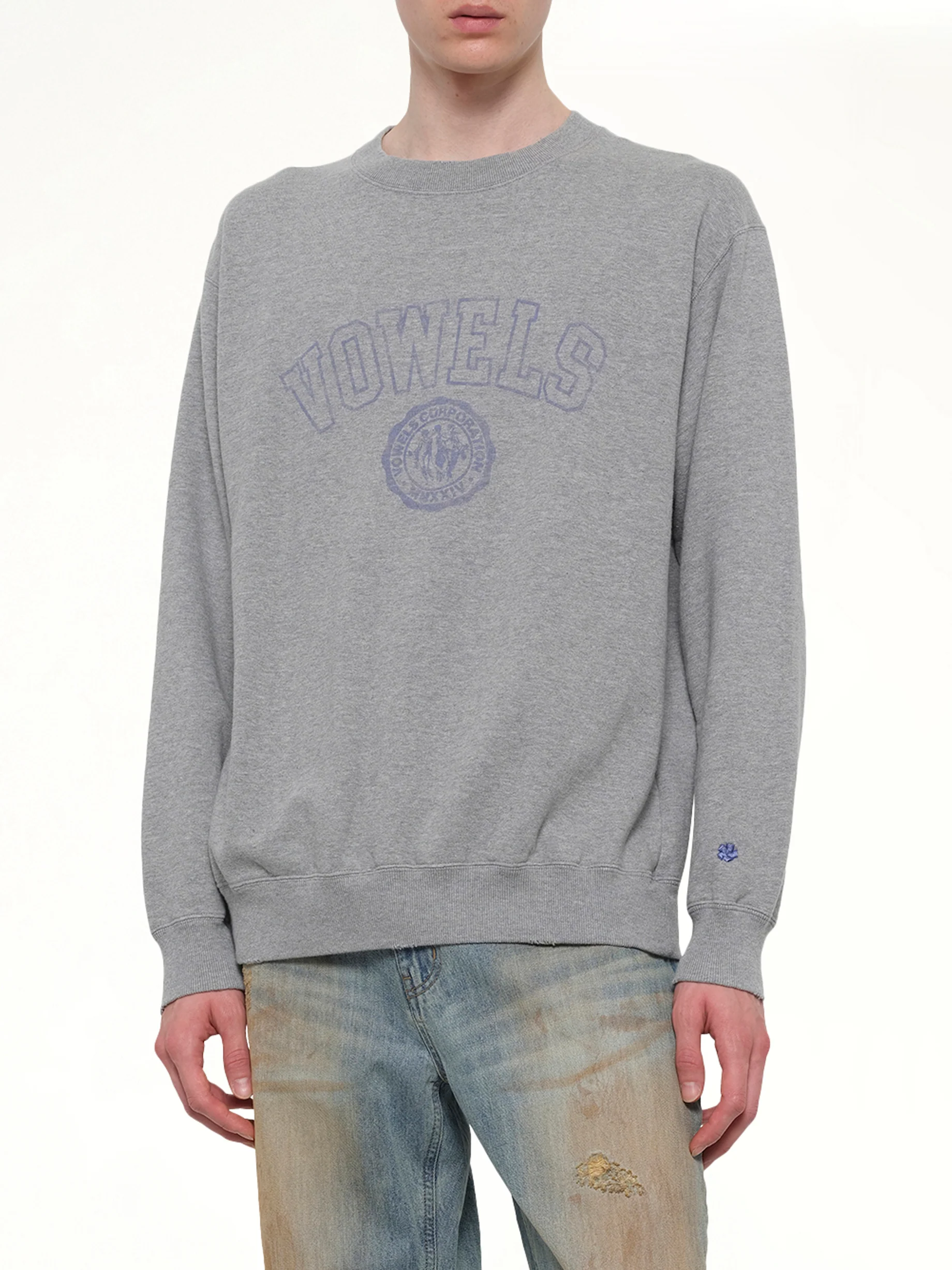 Faded Collegiate Sweatshirt in Grey Heather - Image 6