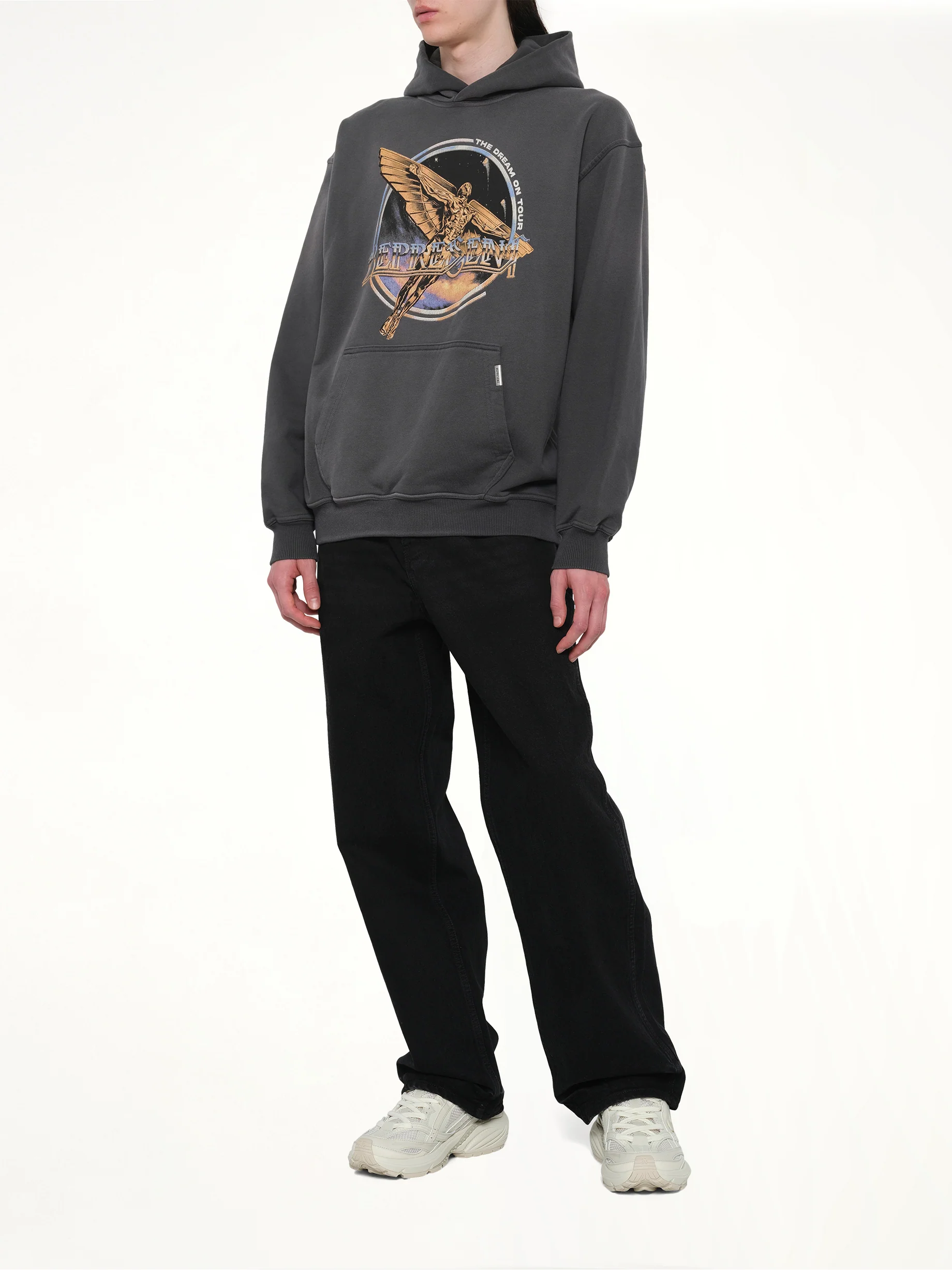 Golden Tour Hoodie in Sun Fade Grey - Image 4