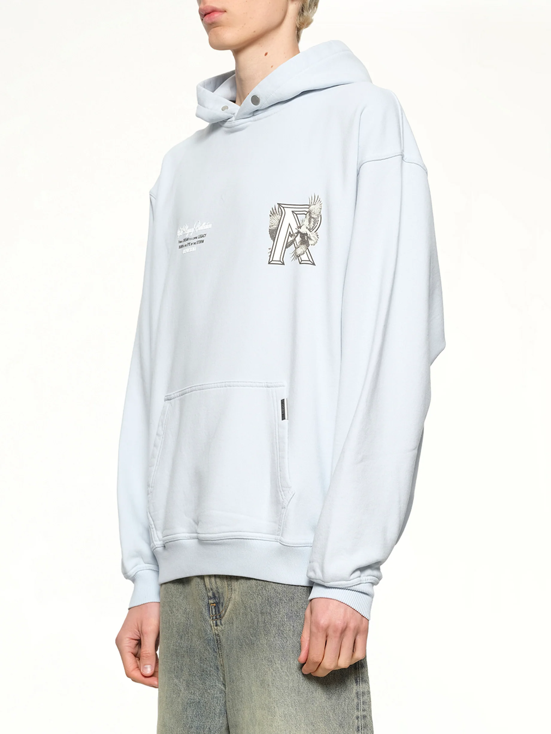 Legacy Falcon Hoodie in Cloud - Image 3
