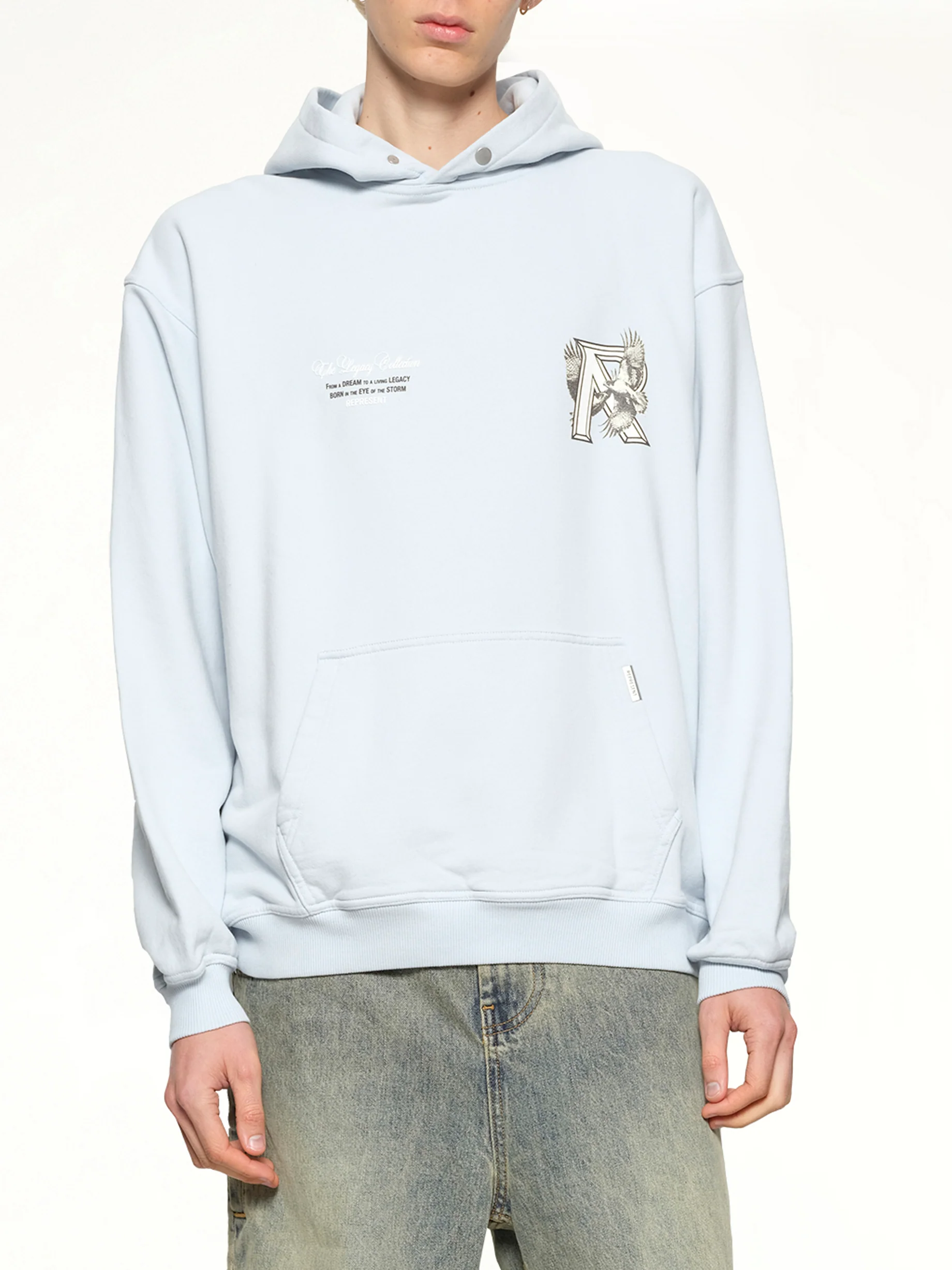Legacy Falcon Hoodie in Cloud - Image 6