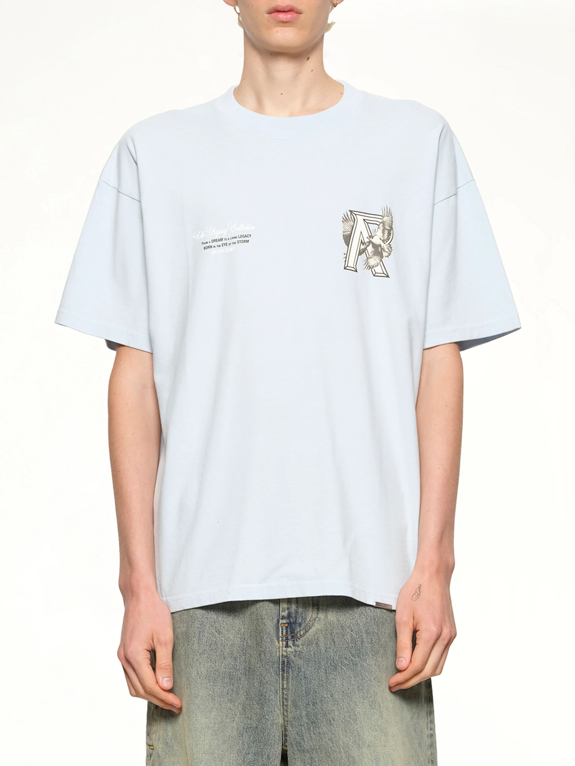 Legacy Falcon T-Shirt in Cloud