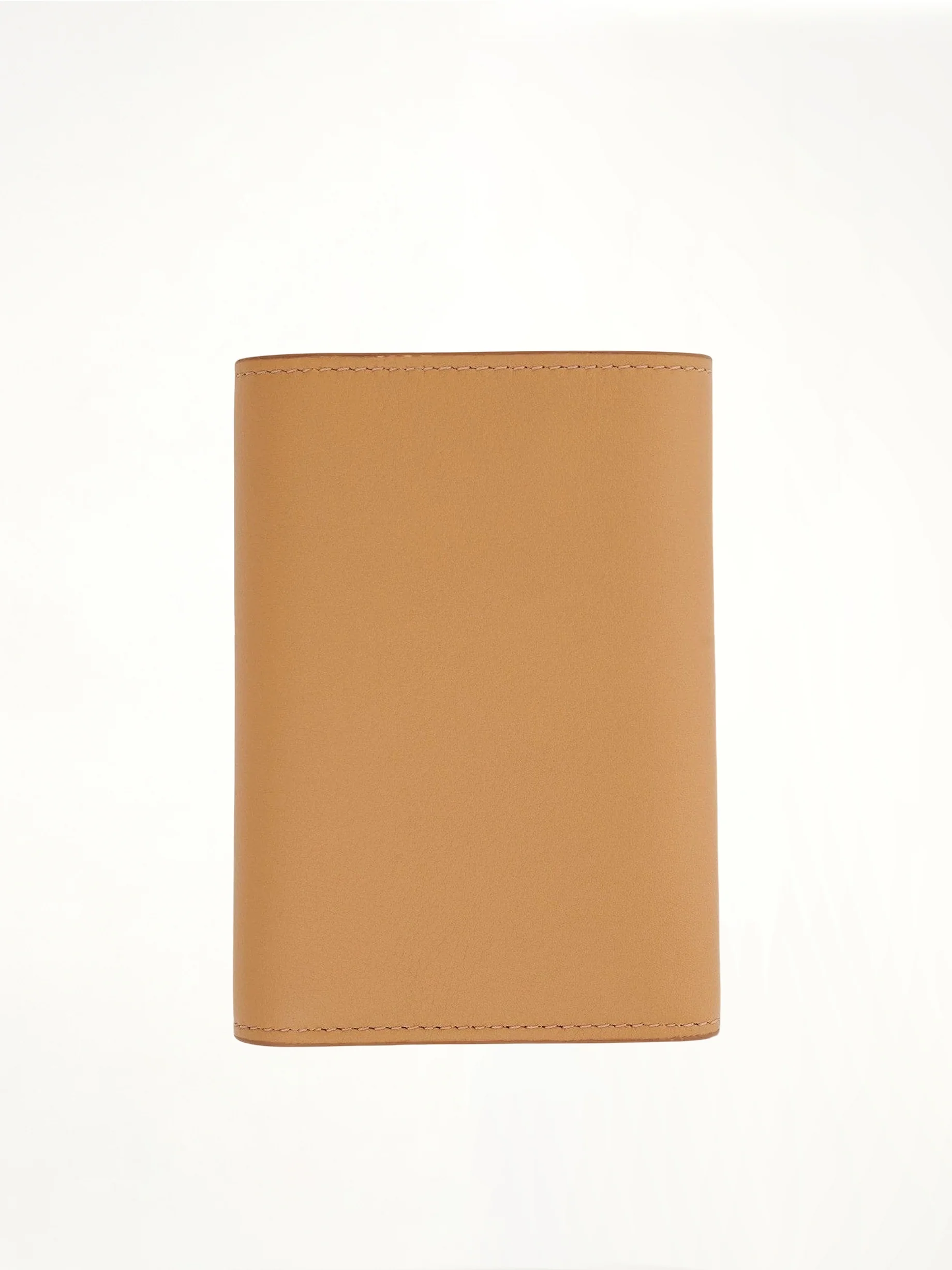 Owl Small Vertical Wallet in Classic Calfskin in Dune - Image 2