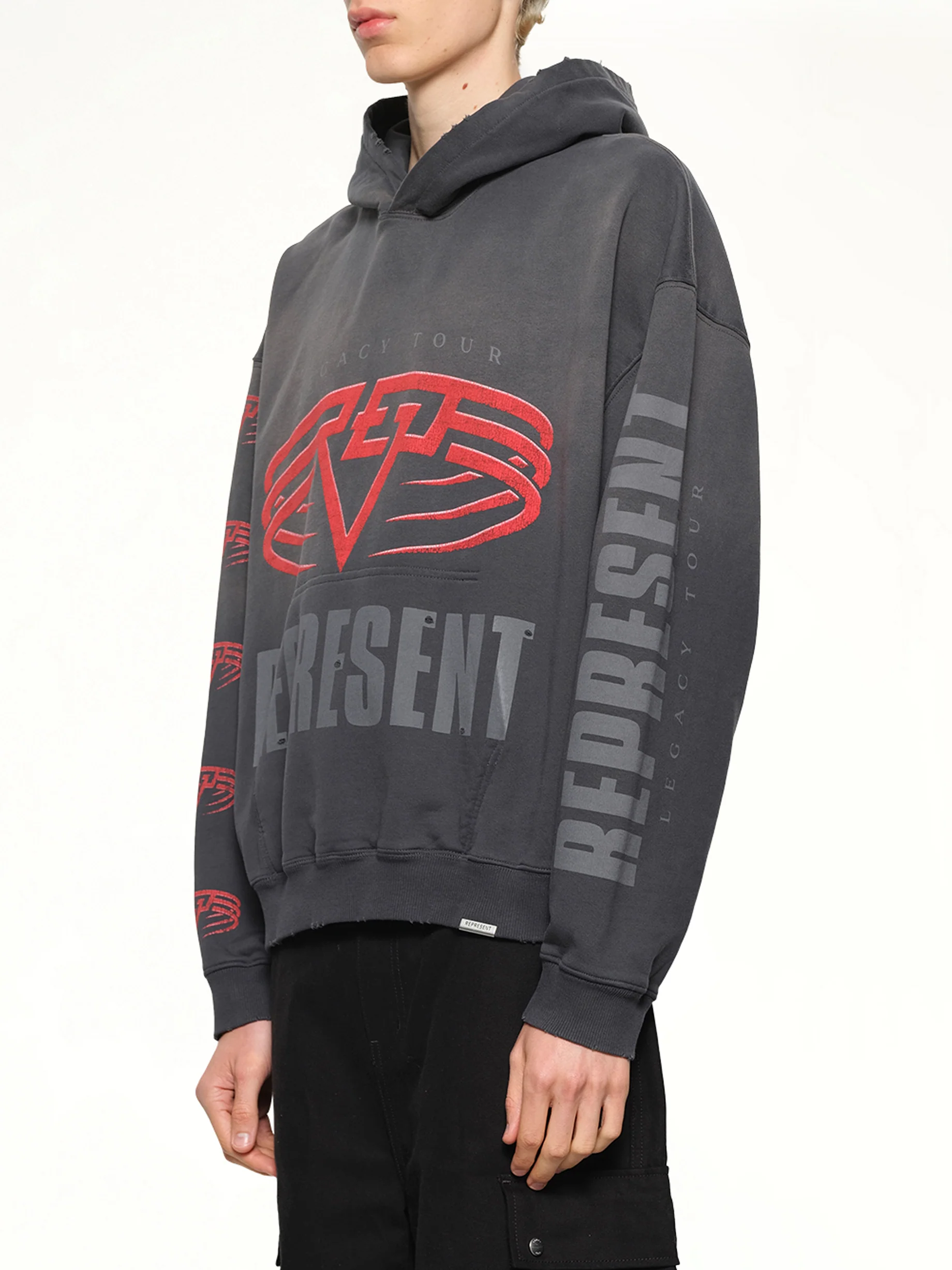 Reversible Living Legacy Falcon Hoodie in Sun Fade Grey - Image 3
