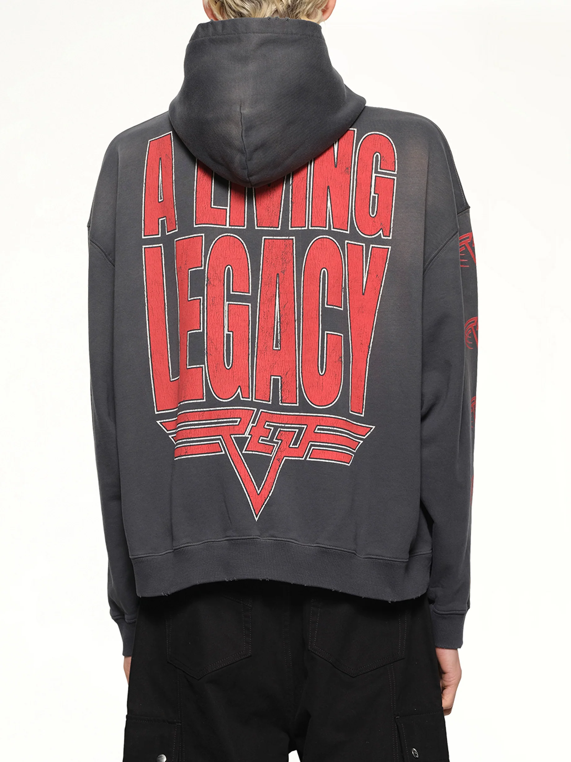 Reversible Living Legacy Falcon Hoodie in Sun Fade Grey - Image 5