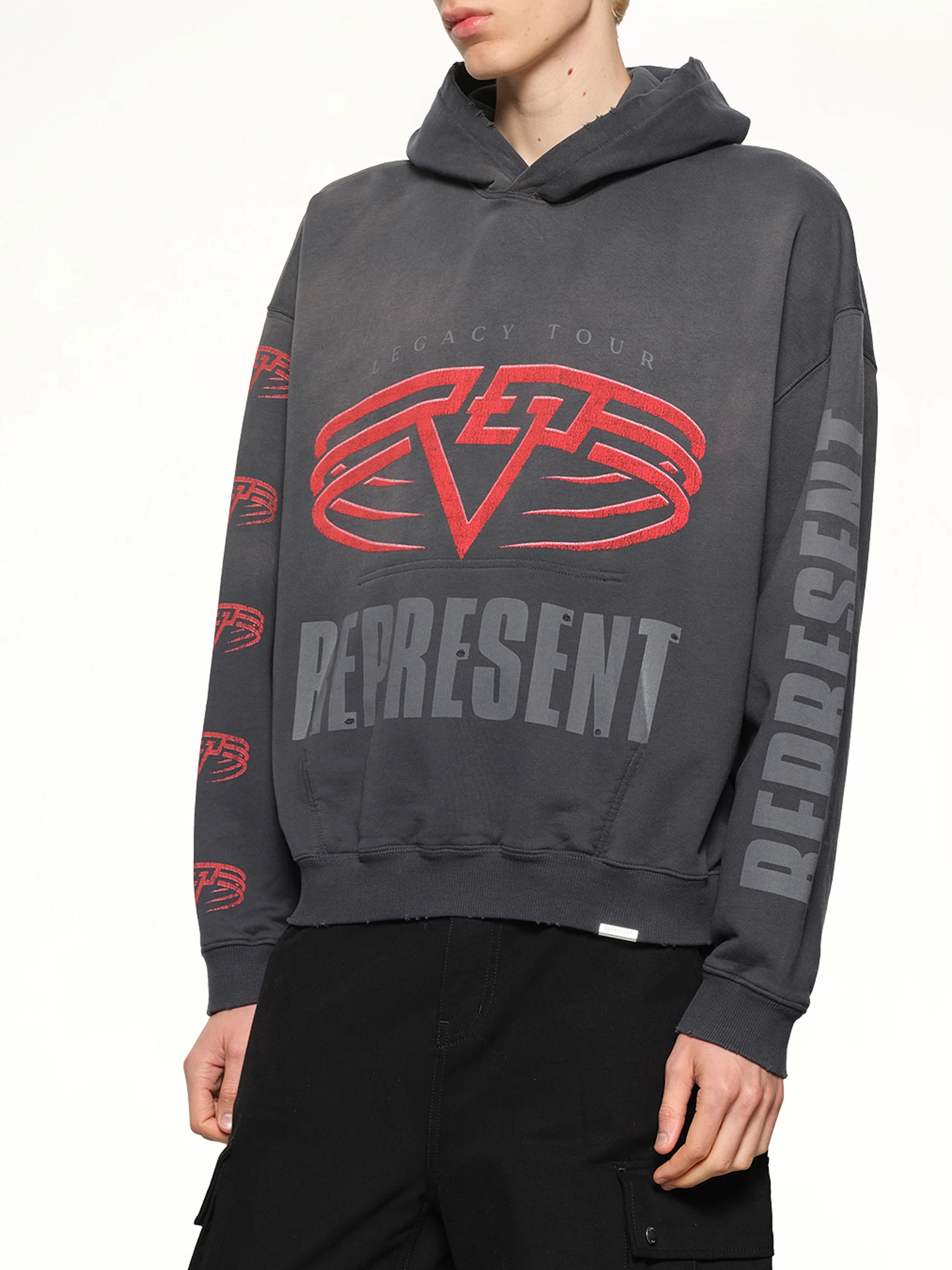 Reversible Living Legacy Falcon Hoodie in Sun Fade Grey - Image 6