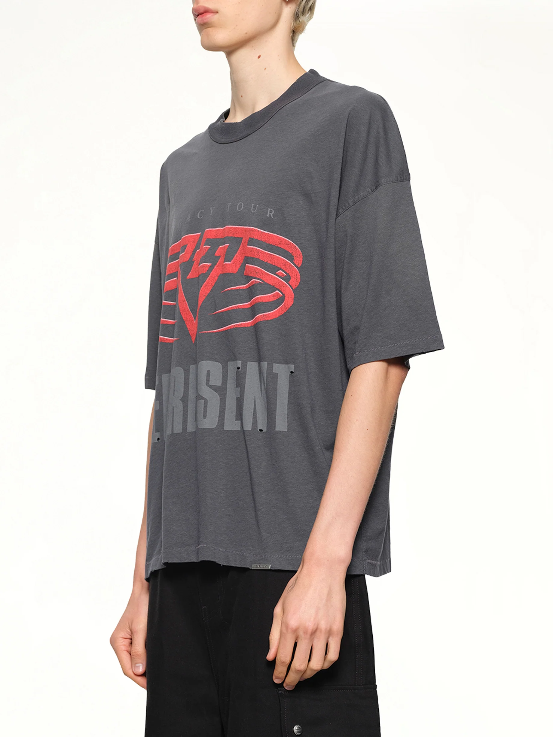 Reversible Living Legacy Falcon T-Shirt in Sun Fade Grey - Image 3