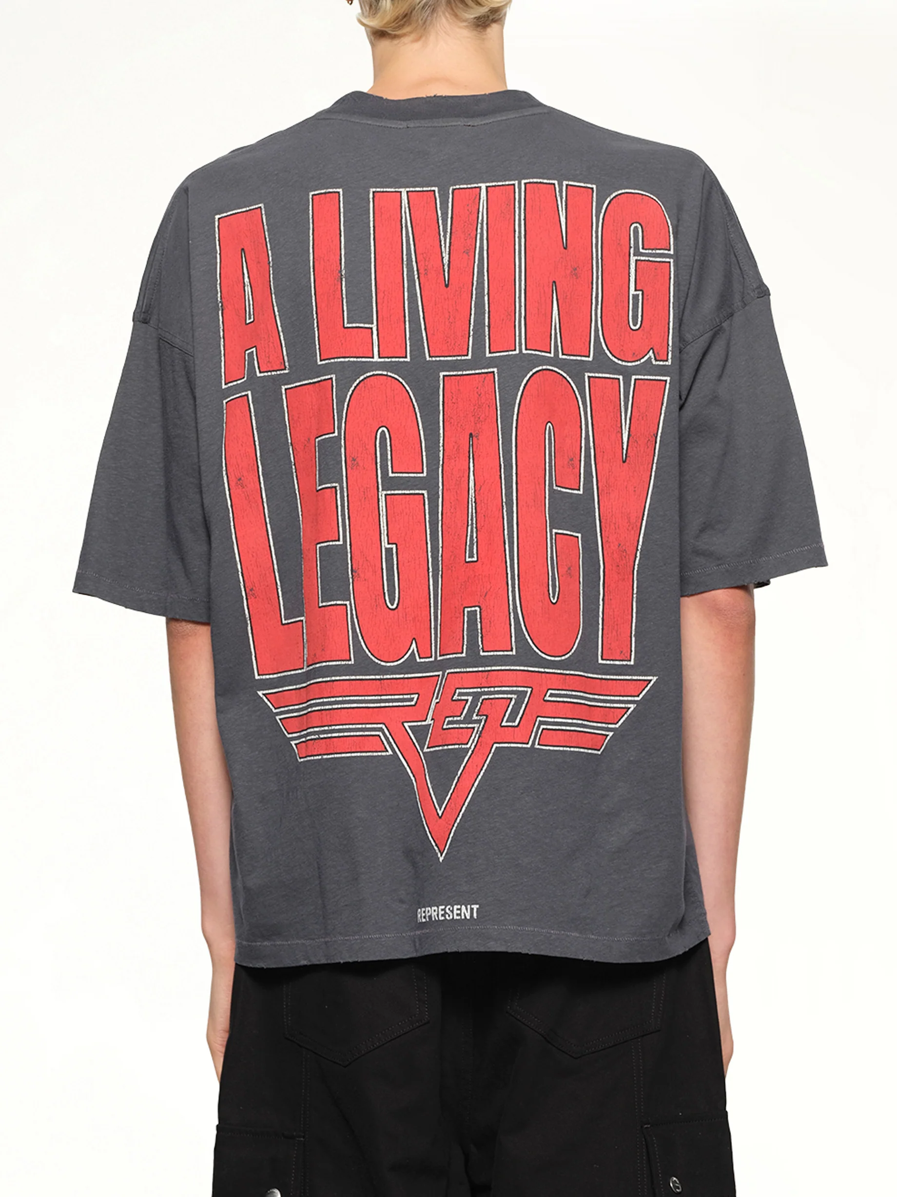 Reversible Living Legacy Falcon T-Shirt in Sun Fade Grey - Image 5