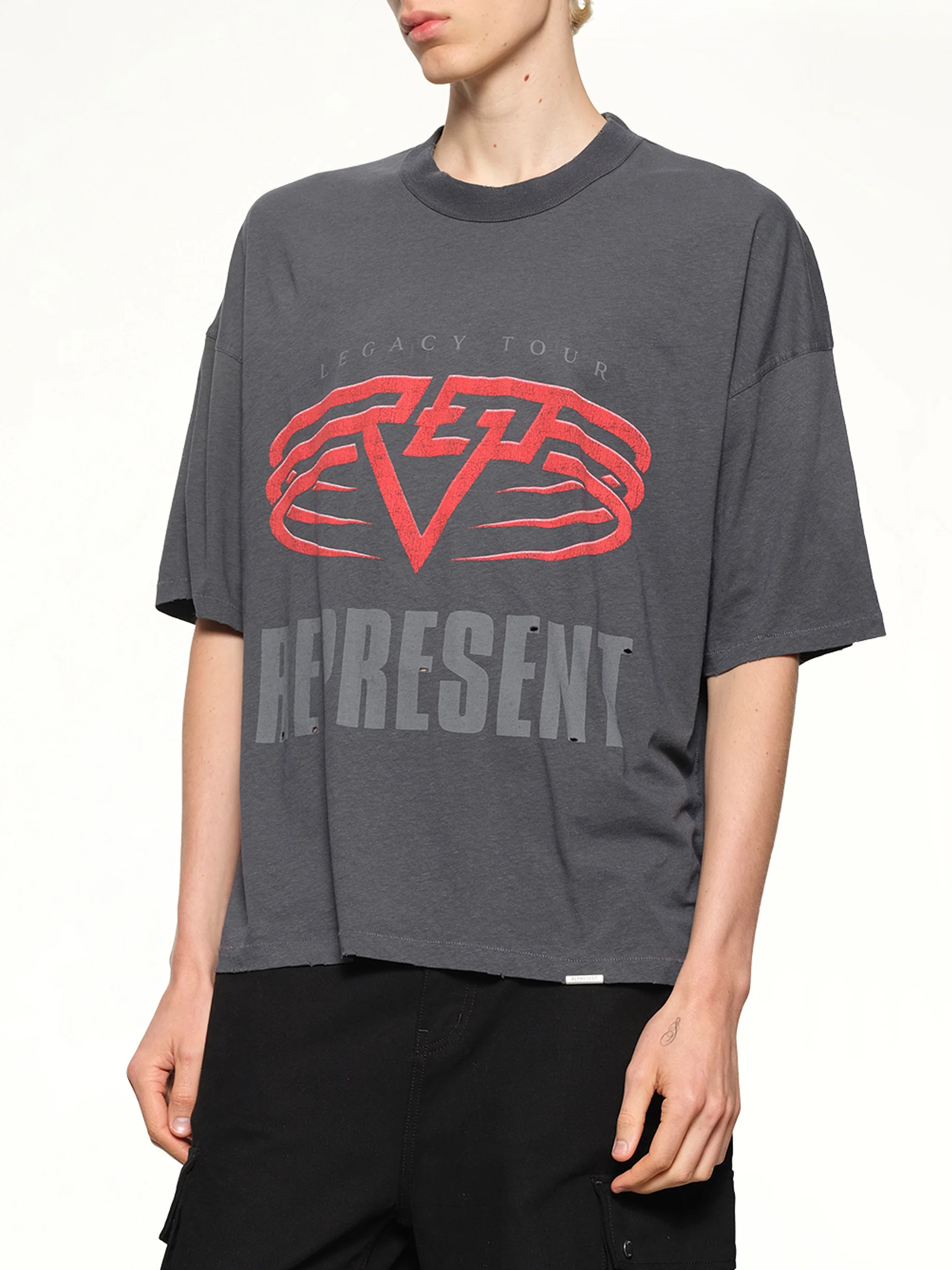 Reversible Living Legacy Falcon T-Shirt in Sun Fade Grey - Image 6