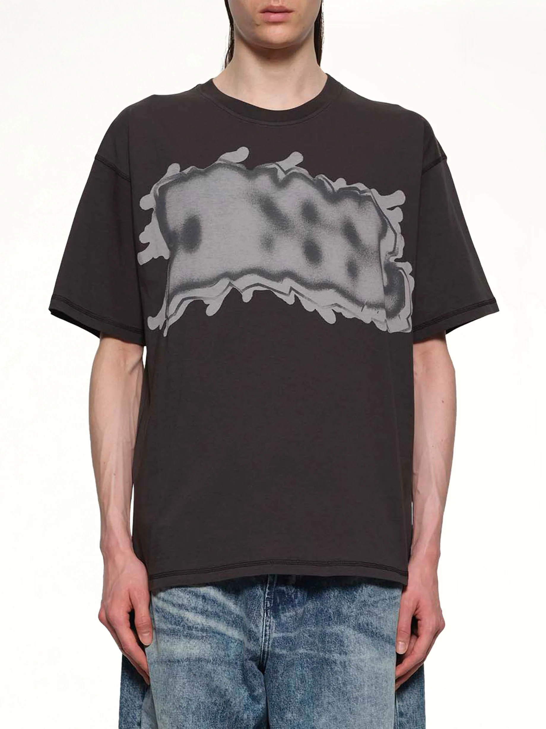 T-LEONARD-IHBJ T-Shirt in Grey