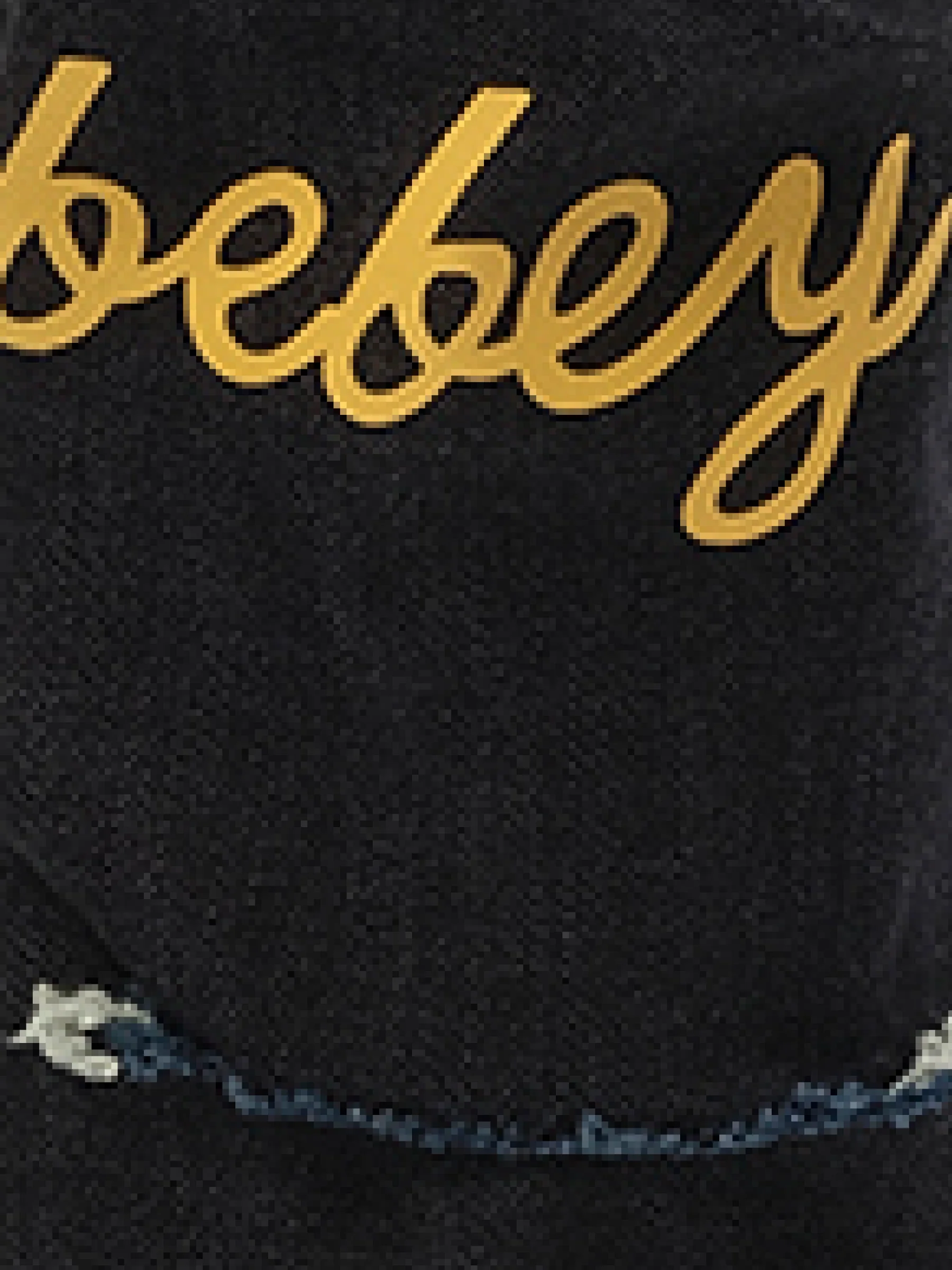 THL Bebey Arrow Selvedge Jeans in Blue - Image 2