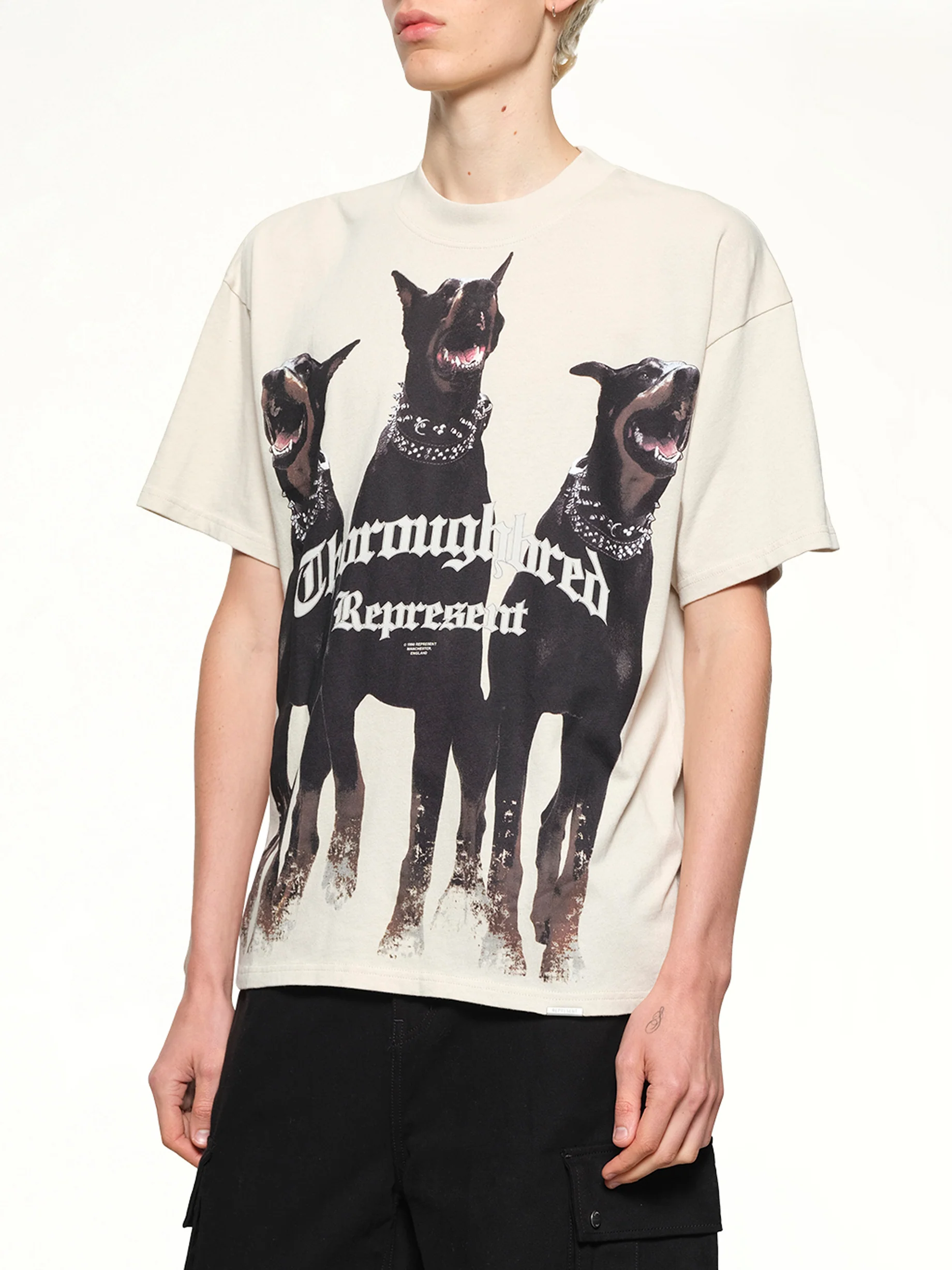 Thoroughbred T-Shirt in Vintage White - Image 6